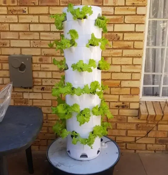 G&N Vertical Farming Tower  For Agricultural Greenhouses Equipment In Indoor Plant Hydroponic System