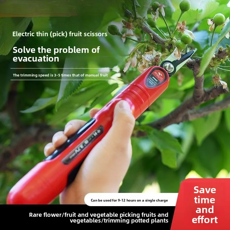 �y�Z�[�����z�d�����^�t���[�c�͂��� �ʕ��Ɩ�؂̂͂��� �ʕ��Ɩ�؂̃A�[�e�B�t�@�N�g �d���͂��� �V�i