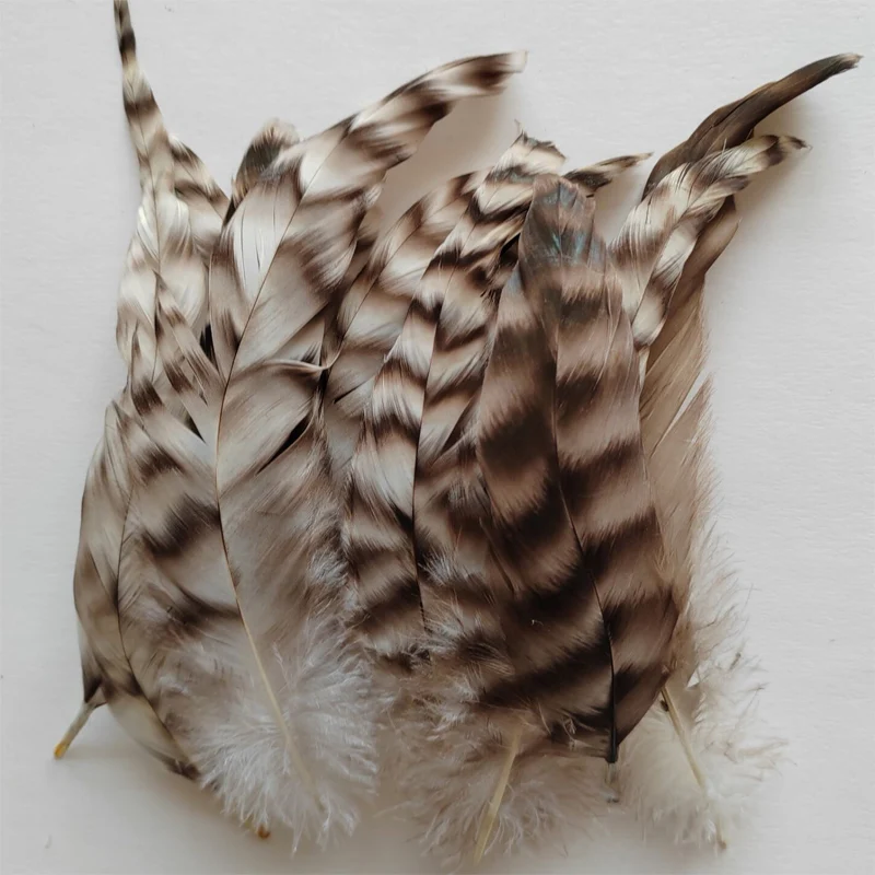 

100Pcs/Lot! 6-8inches 15-20cm Nature Grizzly COQUE TAIL FEATHERS For Millinery,feathers decoration