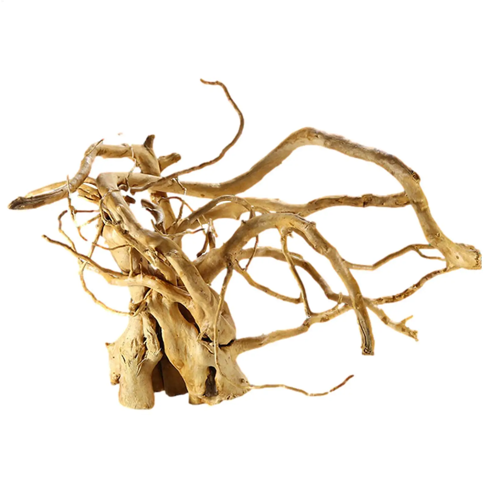 Natural Wood Tree Driftwood Branches Natural Shape Sunwood Rhododendron Root Moss Tree Water Grass Habitat Root Decoration