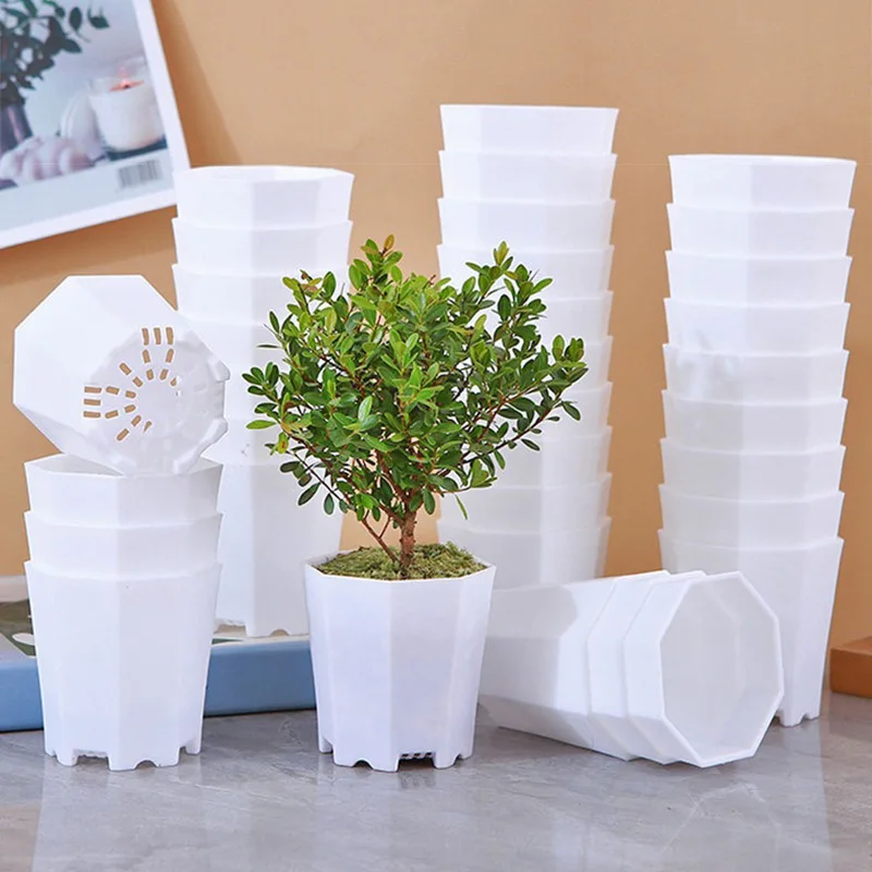 10/20pcs Octagonal Flower Pots Plastic White Planters with Drainage Holes Home Decor Succulents Indoor Outdoor Gardening TMZ