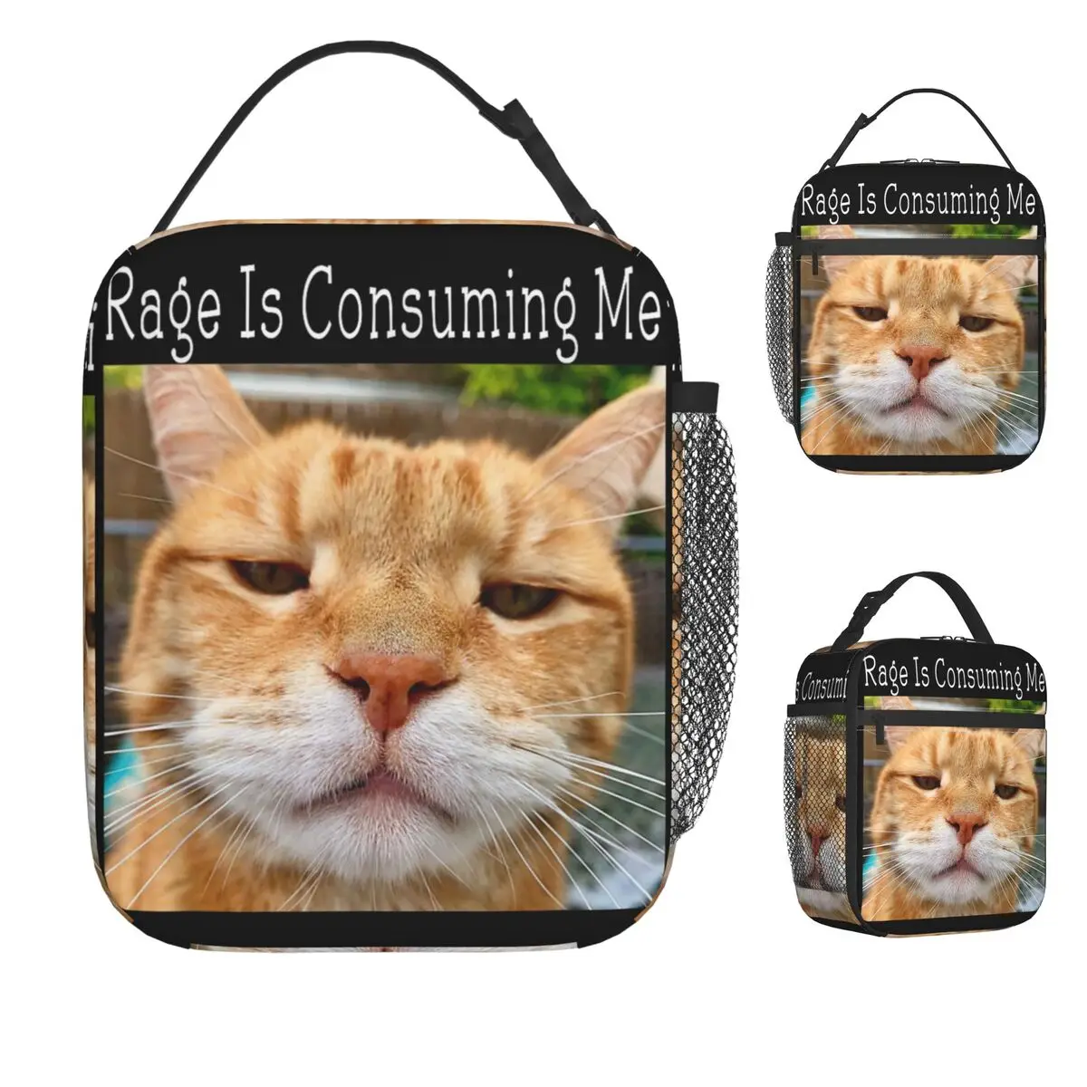 

Rage Is Consuming Me Silly Staring Cat Meme Lunch Bag Retro Lunch Box Picnic Portable Insulated Thermal Lunch Bags Cooler Bag