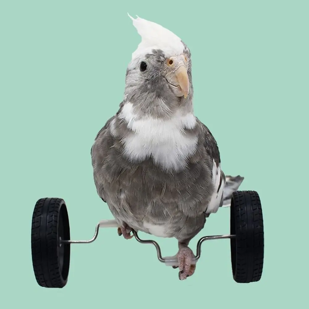 Multifunktionales Plastik-Papageien-Balance-Bike Leichtes Vogel-Trainingsfahrrad Intelligenzförderung für Kleine und Mittlere Vögel – Detail 2