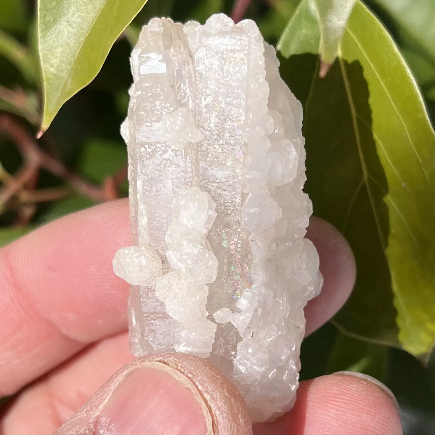 Natural backbone crystal and calcite symbiosis crystal cluster specimen spiritual meditation feng shui energy healing stone