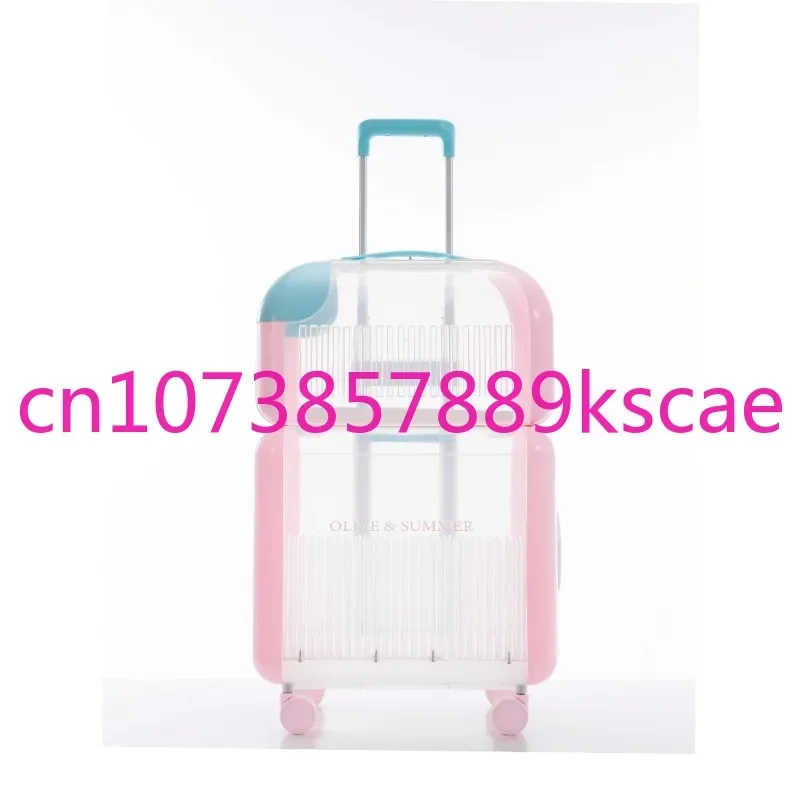 Cat Bag Portable Space Capsule Double Cat Trolley Case Luggage Cat Pet Diaper Bag Two Cats