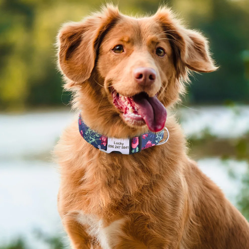 Collar personalizado con estampado Floral para mascotas, Collar de Nylon para perro con grabado gratuito, para perros pequeños, medianos y gatos,