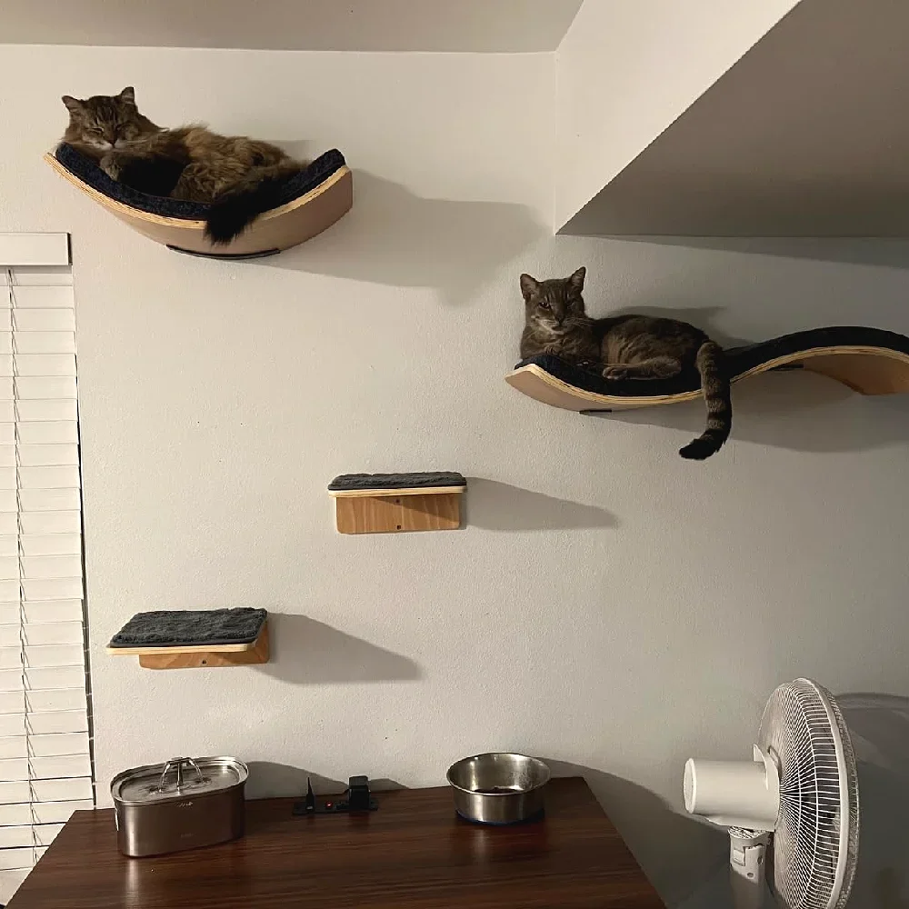 الحائط القط جدار تسلق الرفوف مجموعة خشبية أشجار القط برج هرش منصة القفز داخلي القطط ملحقات صالات الألعاب الرياضية لعبة