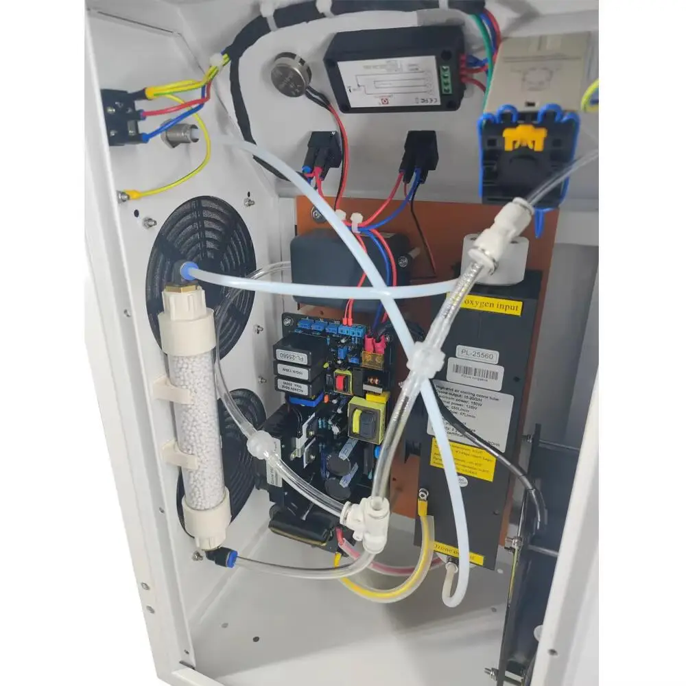 CE FCC ROHS H1 10G 15 G/H 조정 가능한 오존 기계, 의료 오존 발생기, 오존 치료 기계, 오존 공기 정수기