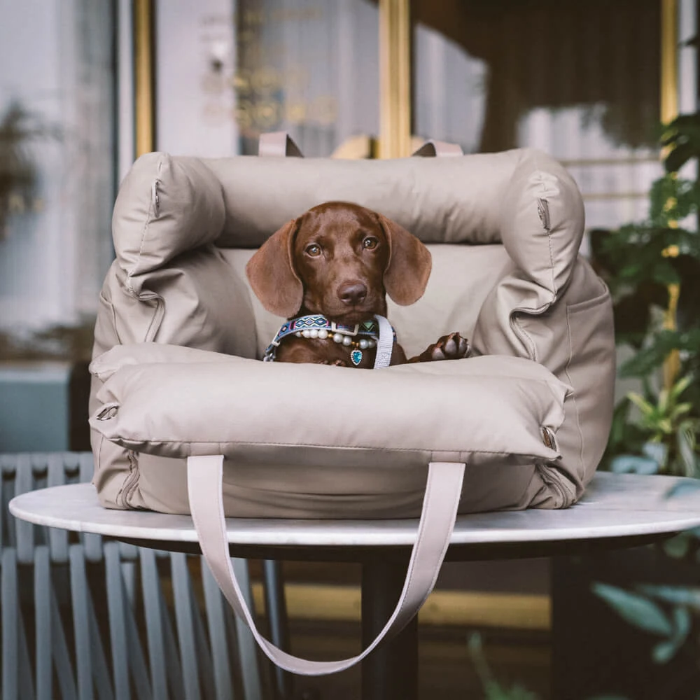 Wholesale Luxury Pet Bed High Quality Small Medium XL Dog Beds With Breathable Removable Plush Cover For Car Travel