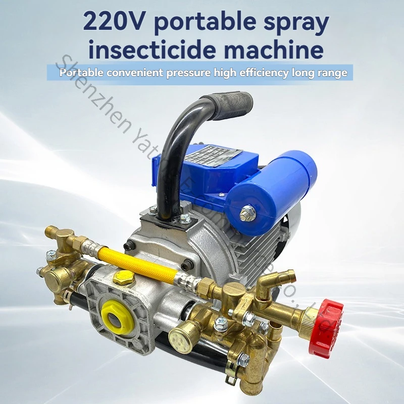 Pesticide Machine Household 220V Electric Agricultural Fruit Tree High Pressure Sprayer GardenMotor Double Cylinder Sprayer