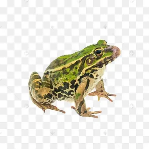 

Car Sticker Space Wars Death Star Tech Support Vinyl Decal Body Window Laptop Waterproof Sticker Auto Exterior Decor Accessories