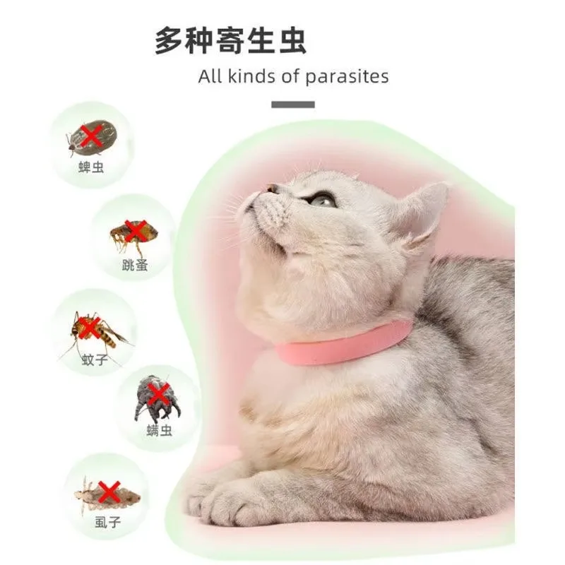 

Pet Dog Cat Collar Anti Flea Mite Lice Outdoor Adjustable Pet Collar Cat Accessories Long-term Protection