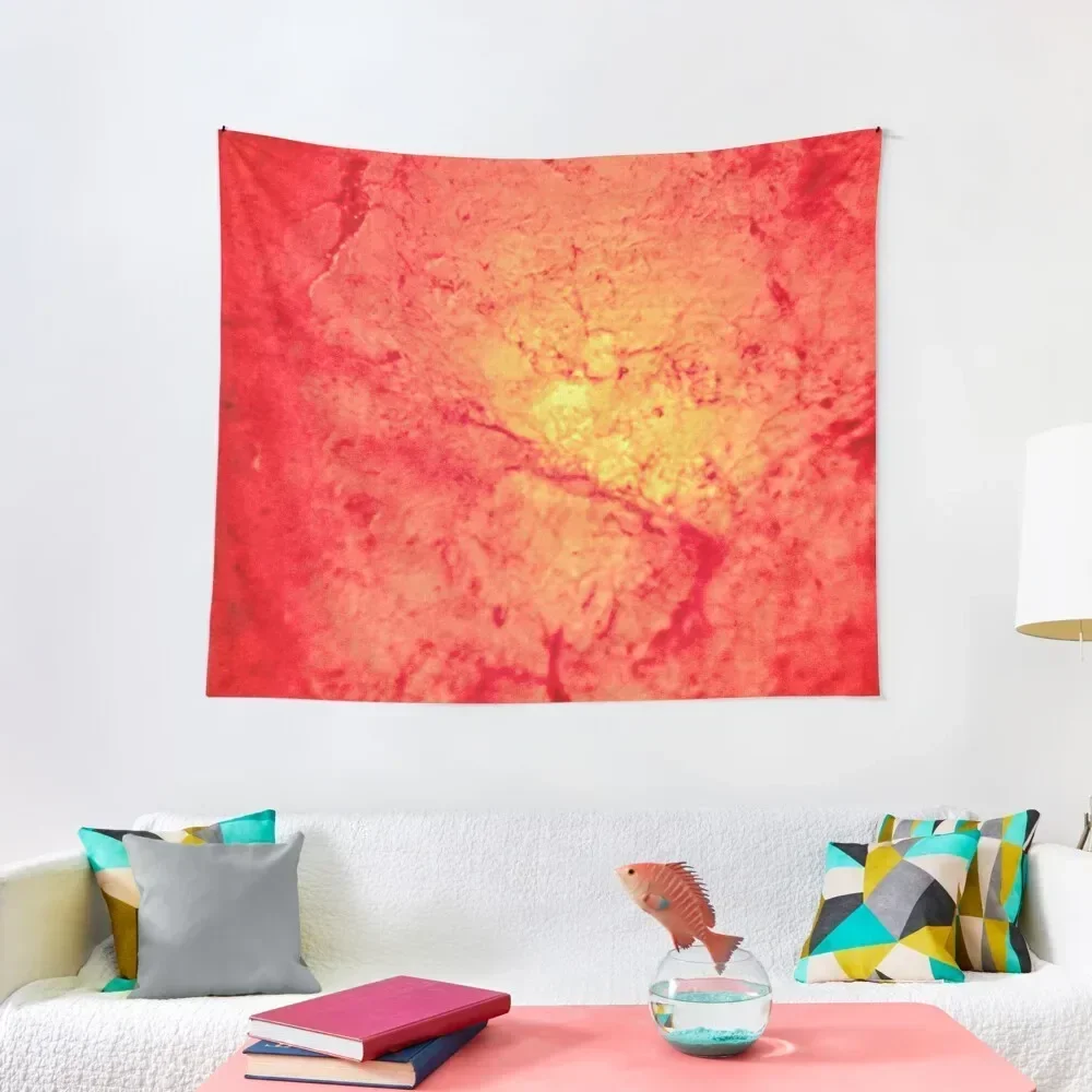 

Himalayan Salt Tapestry Decoration Aesthetic Wall Decor Aesthetic Room Decoration Room Decor Tapestry