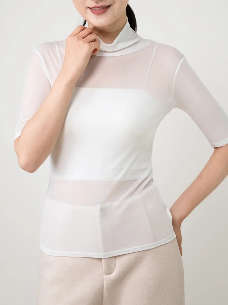 

Pure Silk Knitted Silk Base Shirt Thin Mesh Twist Genuine Silk T-Shirt Casual Style Slim Fit Women's Top Half High Neck