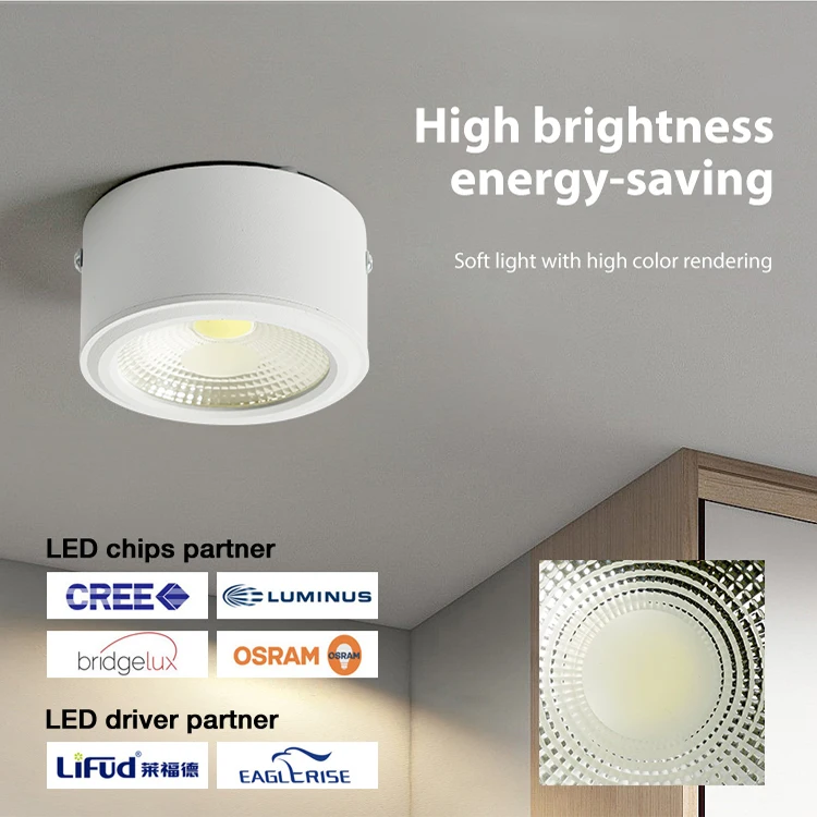 Hot Sell 7W 10W 15W 25W Aluminum LED Downlight Modern Design Style for  Living Room Ceiling Surface Mount