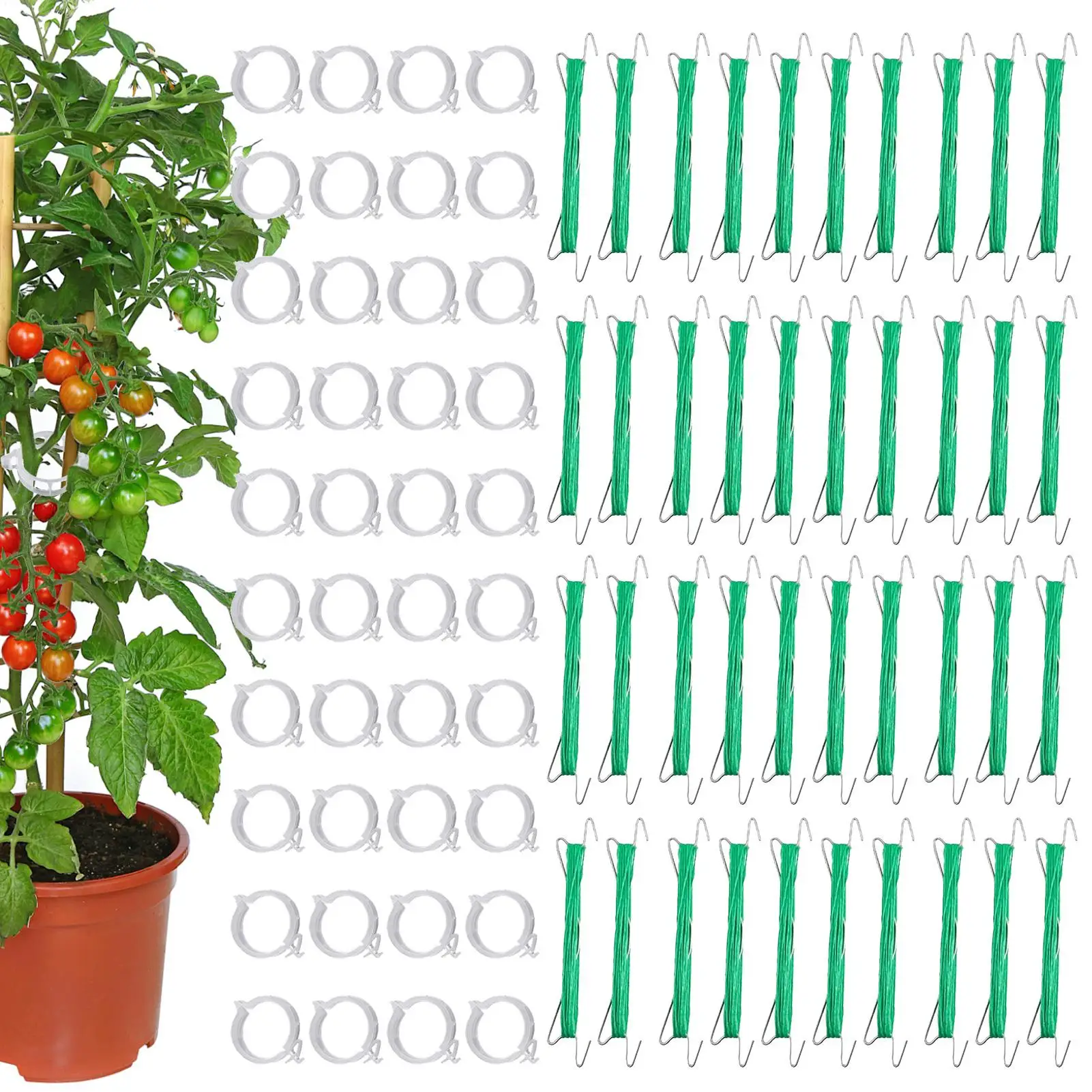 

Tomato Hooks With String Garden Hooks To Support Climbing Plants 40 Pieces Stem Fixing Holder With 40 Clips For Eggplant