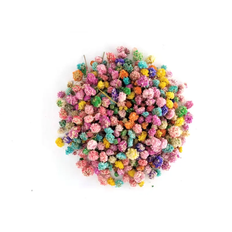 Mini Natural Dried Flower Plant Mixed Gypsophila Flower Head For Nail Art Epoxy Resin Filling Jewelry Home Decoration