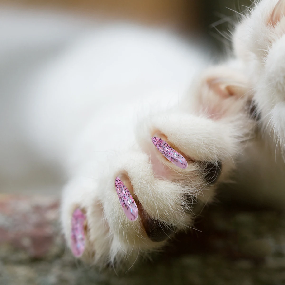 

100 Pcs Cat Claw Cover No Harm to Pets Covers Caps Nail Set Protectors for Cats Rubber