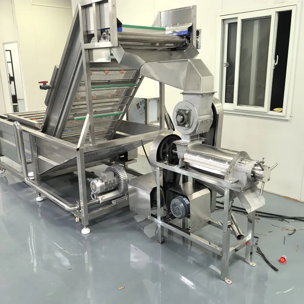Commercial Heavy Duty Coconut Juicer Machine Industrial Coconut Milk Extracting Crusher for Beverage Factory