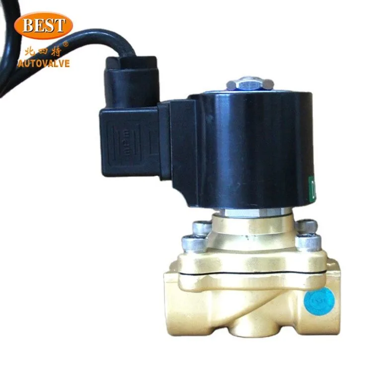 110v 220v ac 12v 24v dc water Z301 Brass 2 Way Diaphragm Underwater Normally Closed  Solenoid Valve