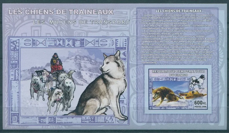 Congo, 2006, Polar Animals, Dogs, Toothless, Real Original Post Stamp, MNH