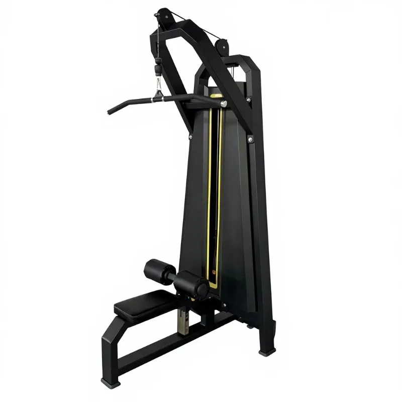 Commercial gym equipment needle insert strength training back shoulder training puller