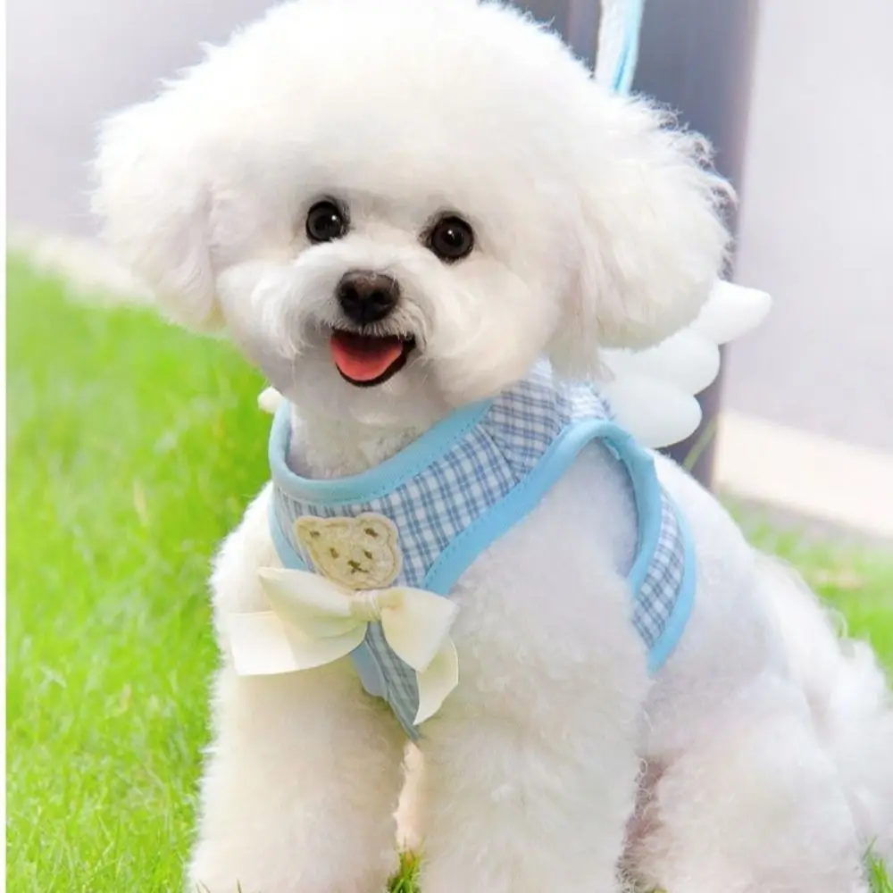 

Adjustable Cat Dog Harness Set Comfortable Breathable Cat Rope Vest with Leash Escape Proof Pet Chest Strap Outdoor