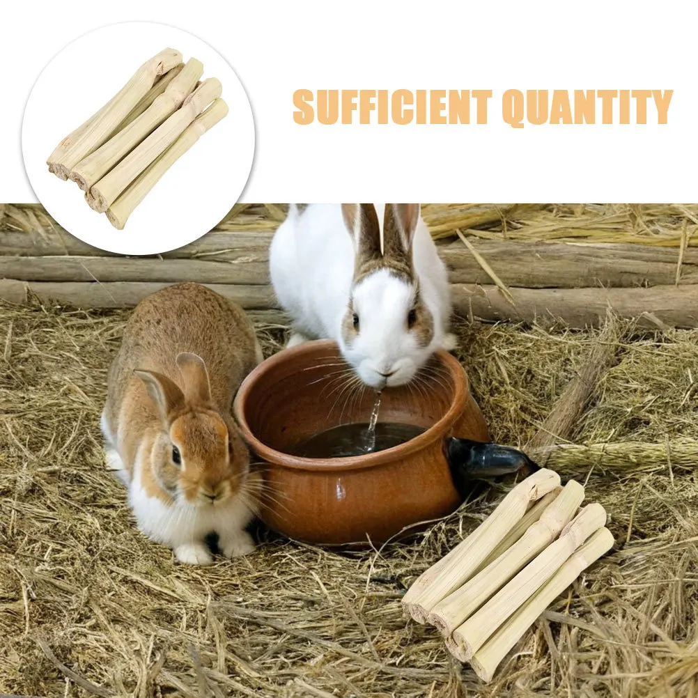 1 مجموعة الخيزران مضغ العصي 1.5 كجم للأرانب الهامستر شينشيلا والحيوانات الصغيرة تعزز نمو الأسنان الصحية الملل #3