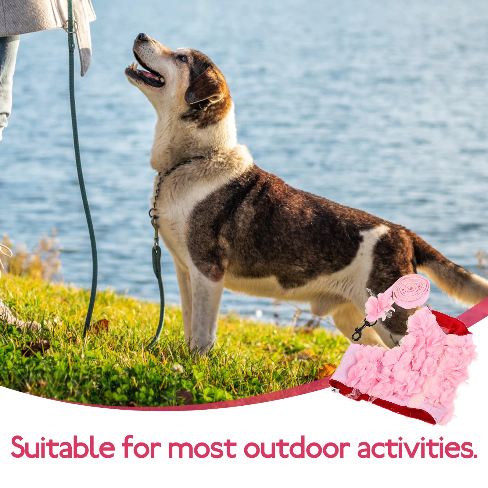 

1pc Stereo Flower Traction Rope For Dog Cat Pet Supplies Breathable Adjustable Chest Strap Small Medium Puppies Dog Rope Spring