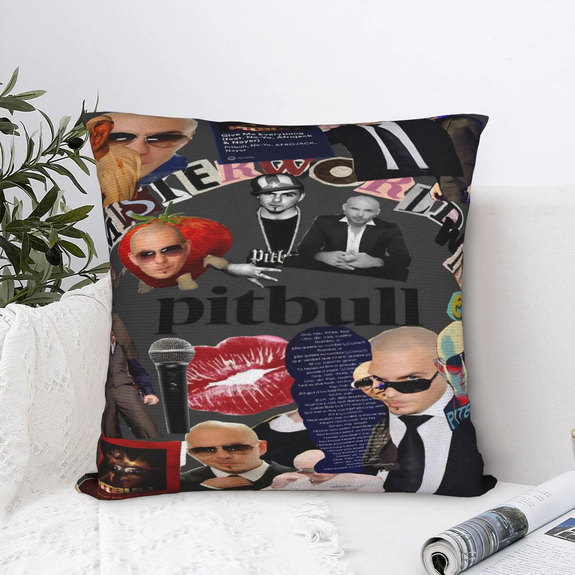 New Style Seat Singer Pitbull Tour 2026 Decoration Pillowcases Merch  Pillow Covers Zipper Multi Size