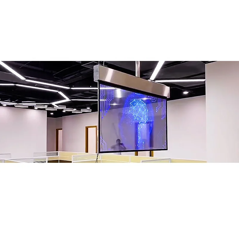 55 inch Transparent OLED Screen Hanging Style Touchscreen Video Display Transparent TV for Home/Classroom
