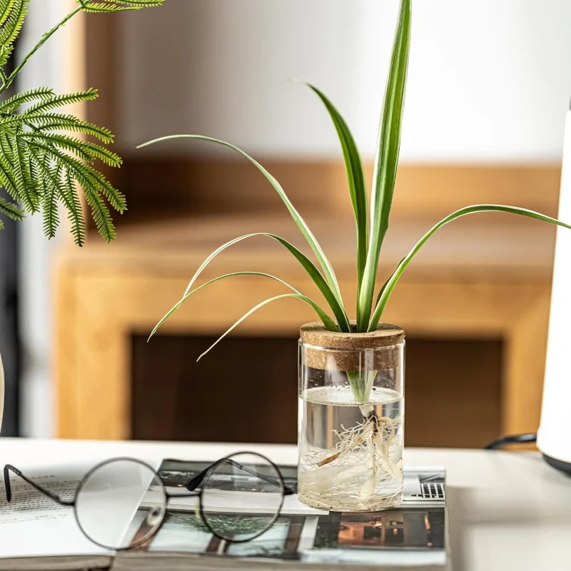 Desktop Hydroponic Plant Glass Vase 1-4 Individual Transparent Rooting Containers for Home and Office Green Plant Decorations