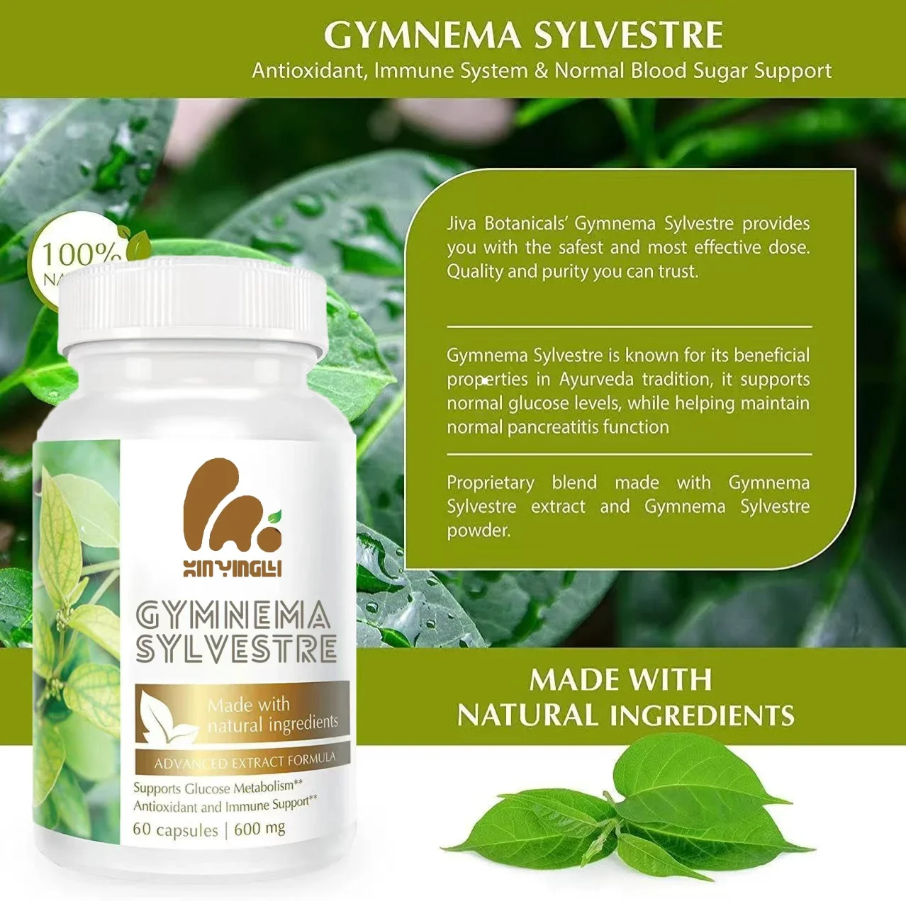 Gymnema Sylvestre Supplement 600mg Concentrated Herbal Extract Capsules | Non GMO and Gluten