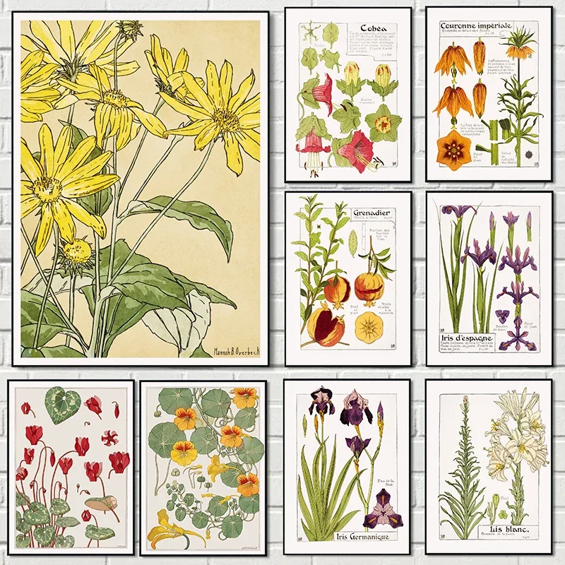 Vintage Style French Plant Flowers Illustrations Abstract Exhibition Art Poster Canvas Paintings Wall Art Pictures Home Decor