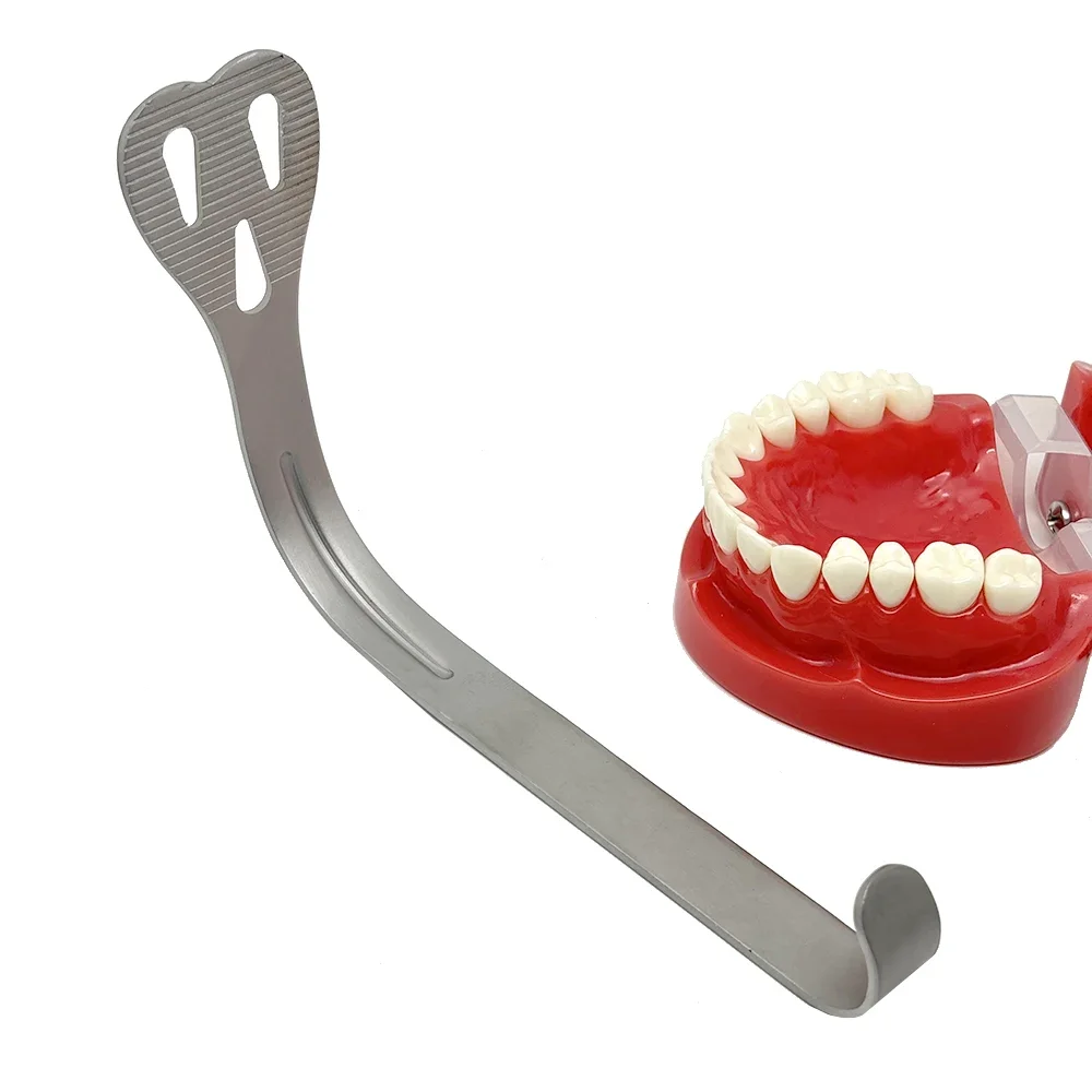 

Стоматологический лингвальный ретрактор, кляп для рта, открывалка для полости рта для более широкой изоляции во время чистки зубов и ортодонтических процедур