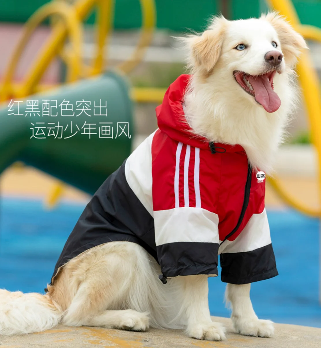 Waterproof Raincoat for Dogs, Dirty Clothes, Medium and Large Dog, Autumn