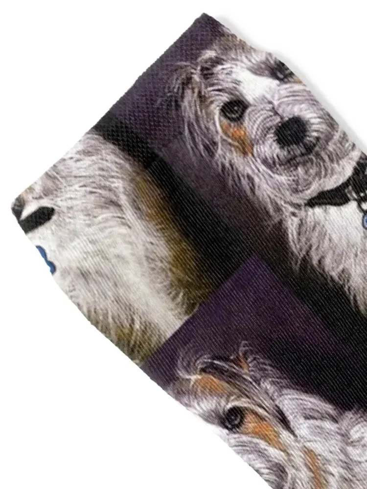 Jack Russell Terrier Dog Socks Climbing winter gifts Women Socks Men's