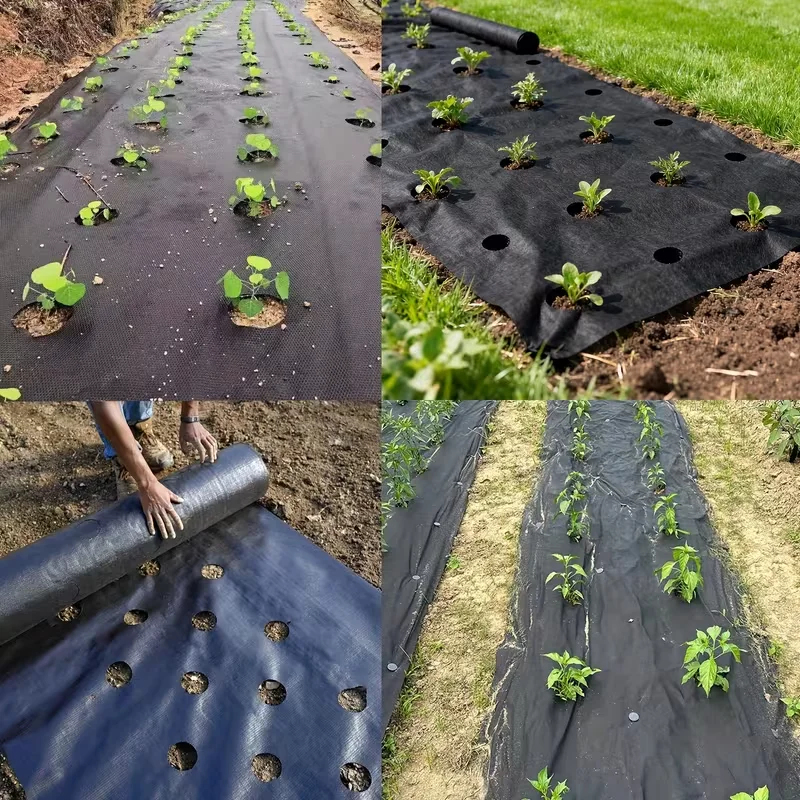 Perforiertes Unkrautvlies, nicht gewebte Gartenbodenabdeckung mit Pflanzlöchern, Unkrautbekämpfungsmatte für Gemüse, Blumen und Pflanzen – Detail 3