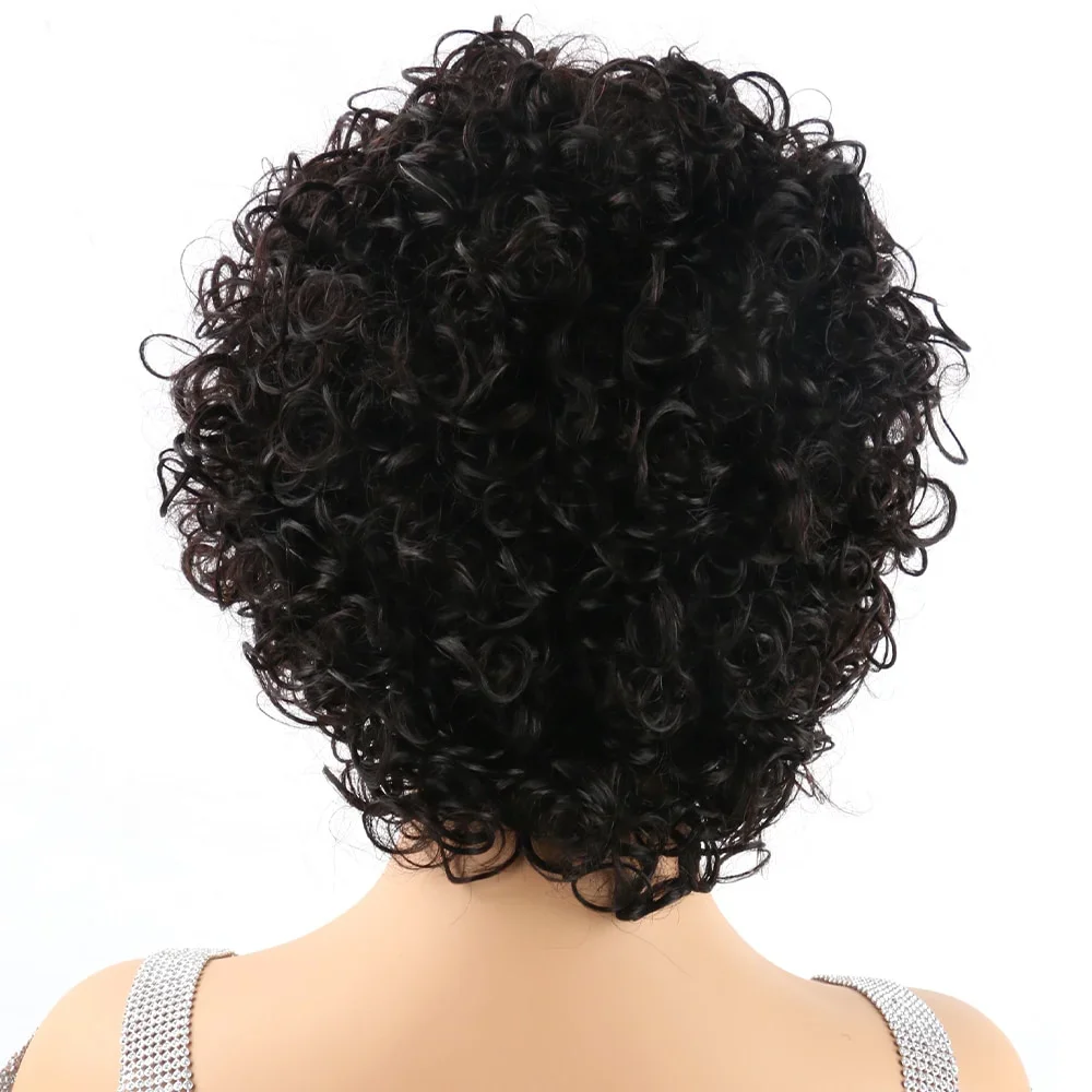 عابث تجعيد الشعر 100% الشعر البشري 13x1 الدانتيل الباروكات الأمامية عابث قطع CurlyShort بوب باروكة من شعر طبيعي الدانتيل الشفاف الجبهة باروكة من شعر طبيعي
