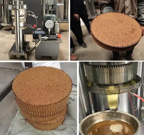 Hydraulic 6yz-150 Type 180 Type 320 Type Pepper Oil Press Pumpkin Seed Oil Press