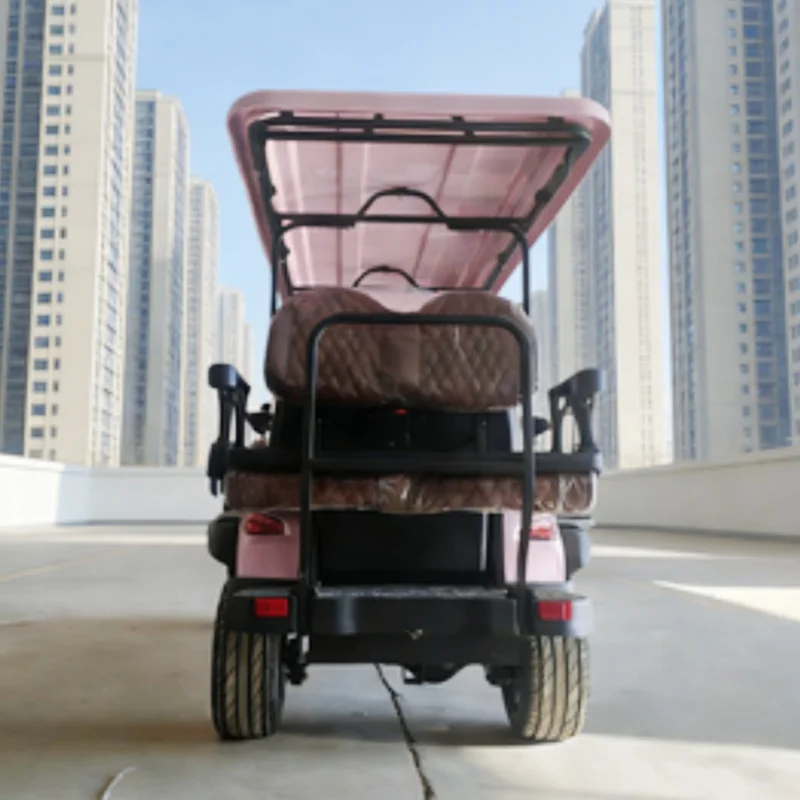 

Electric Golf Cart New Design Aluminum Alloy Frame 4000W/5000W Power Upgrade Brown Upholstered Seat For TranSporTing Tourists