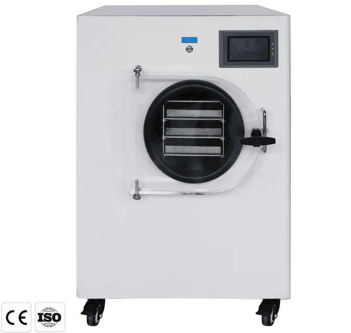2026 Dryer for Foods: Meat/Coffee/Vegetables/Apples/Bananas/Eggs/Fruit/Milk Dryer (Vacuum Dryer)