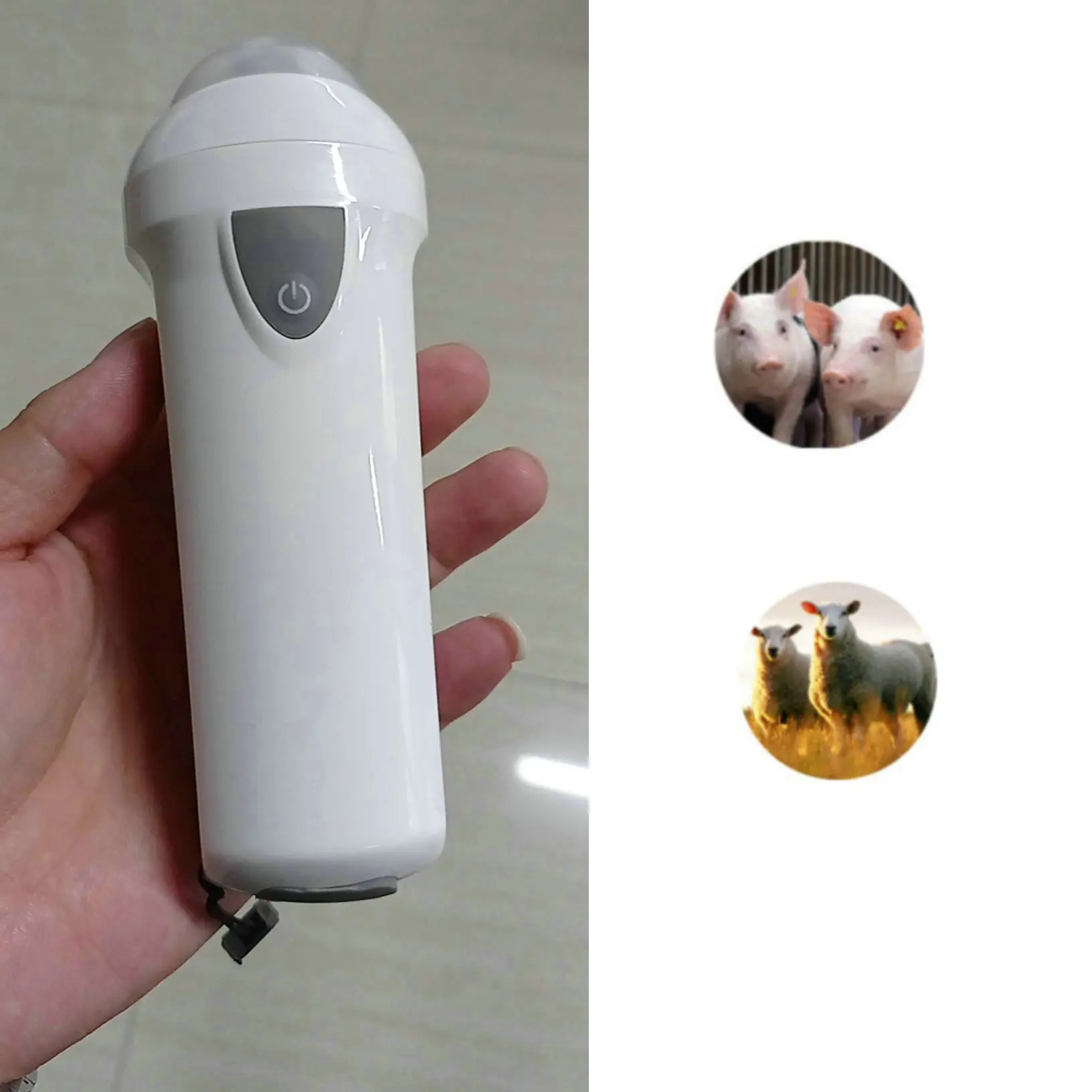 Cheapest wireless vet handheld animal  veterinaery ultrasound scanner pig sheep ultrasound machine portable for goat