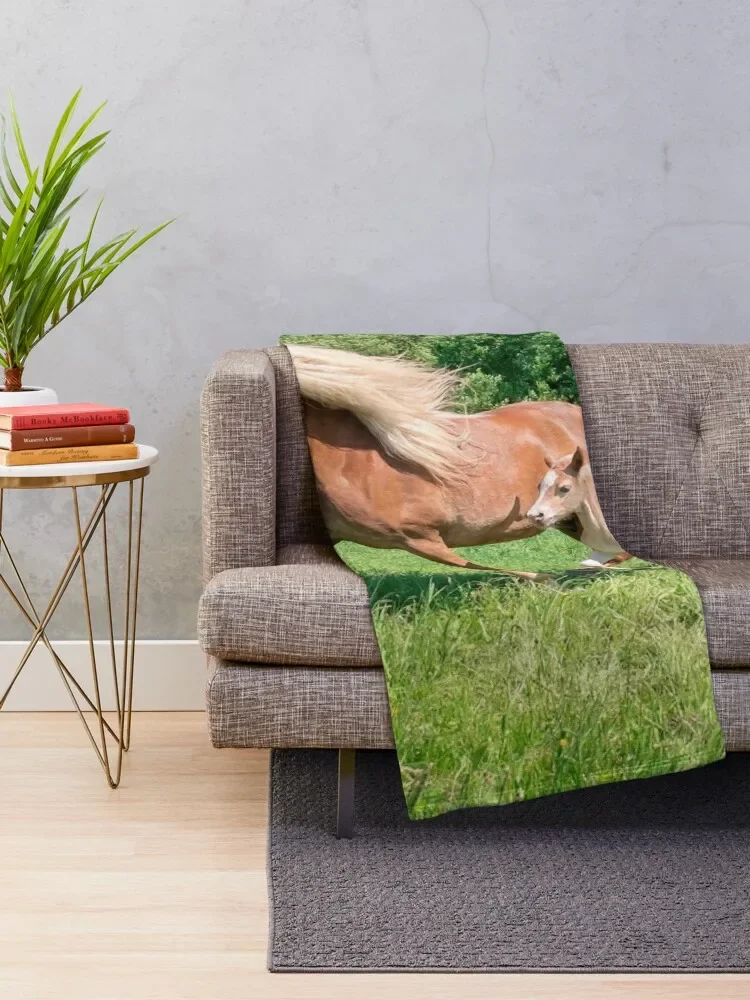 Haflinger horses run together Throw Blanket Custom fluffy Blankets