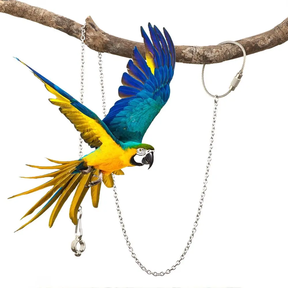 4 Size Stainless Steel Safe Bird's Foot Ring Anklet Parrot Foot Chain Stand Chain Ankle Foot Ring