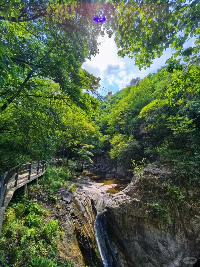 For Lexus GX460 GX4…