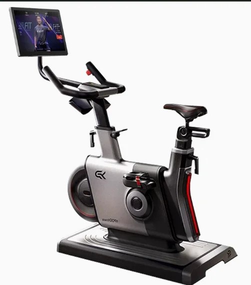 Steel for Bike LCD Display Magnetic Resistance 36 Color Screen 11kg Flywheel 150KG Capacity Home Use Smart Quiet Fitness