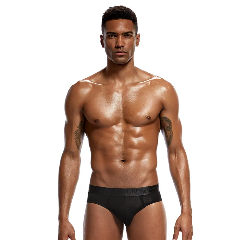 4 PCS Men Fashion Sexy Gay Classic Men's Briefs New Male Sleepwear Panties Low Waist Underpants Modal Underwears Briefs image 3