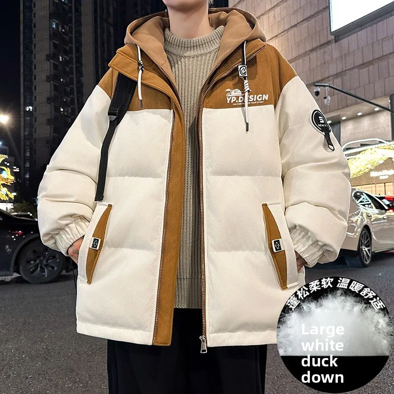 الرجعية بطة أسفل سترة الشتاء نمط جديد الوقوف طوق سستة المألوف تنوعا ملابس العمل غير رسمية سترة مبطنة بالقطن #3