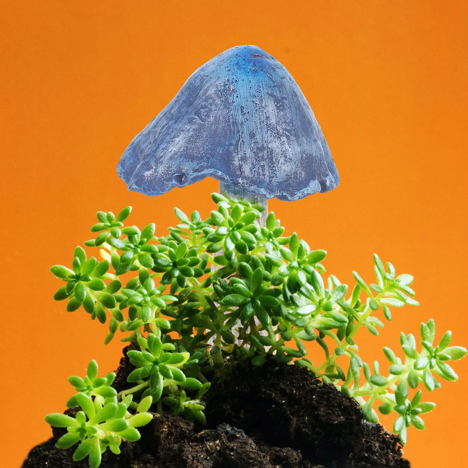 

Miniature Resin Mushroom Statue Realistic Tiny Mushroom Decor for Garden Bonsai Micro Landscape Outdoor Decoration